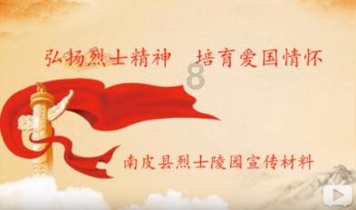 坐在汽车后座的乘客是否有必要系安全带?-专业问答平台